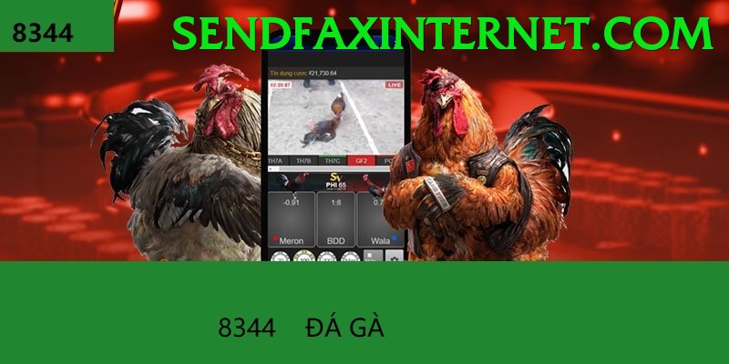 Đá Gà Trực Tiếp - Ưu đãi đặc biệt